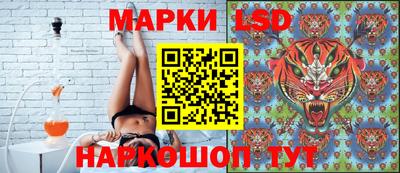 индика Обнинск
