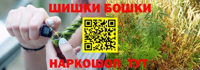 индика Обнинск