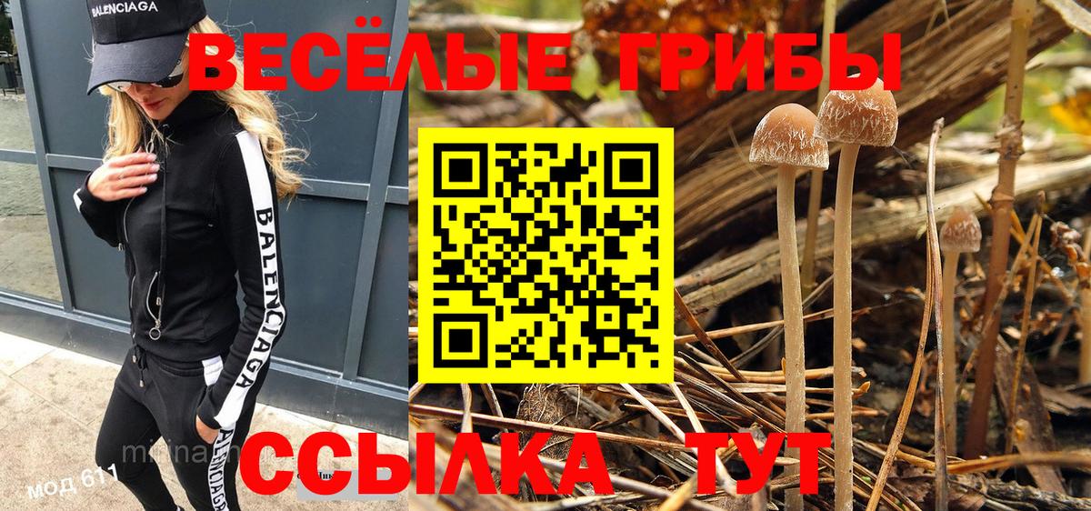 Галлюциногенные грибы MAGIC MUSHROOMS  Вход с VPN  Усолье-Сибирское 